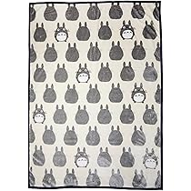 71QWq+fv2YL._AC_UL210_SR210,